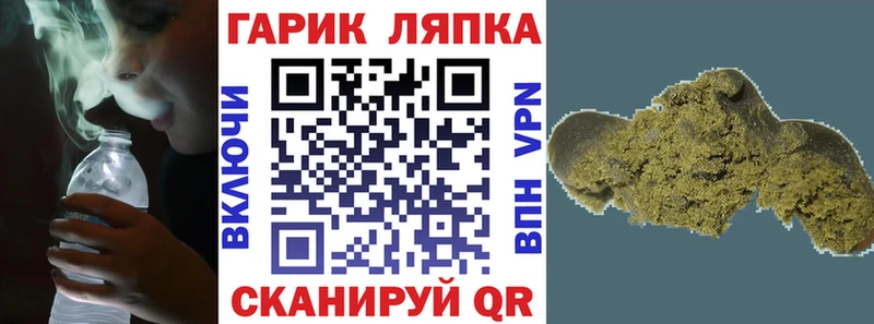 ГАШ Изолятор  mega как зайти  Кинешма 