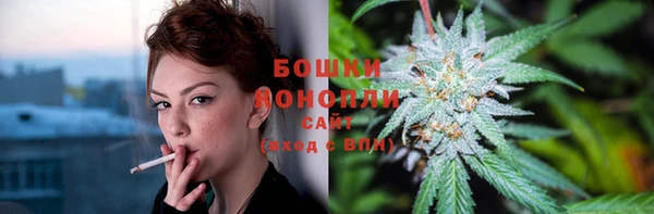соль ск Абаза