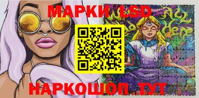 спиды Сланцы