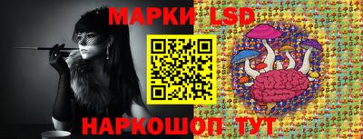 спиды Сланцы
