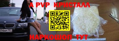 спиды Сланцы