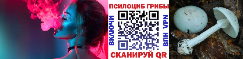 Галлюциногенные грибы прущие грибы  как найти закладки  Кинешма 