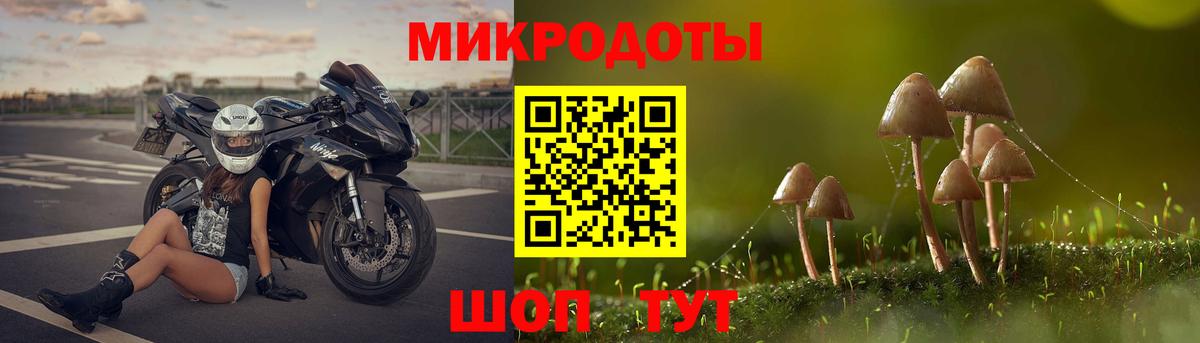 Псилоцибиновые грибы MAGIC MUSHROOMS Кинешма
